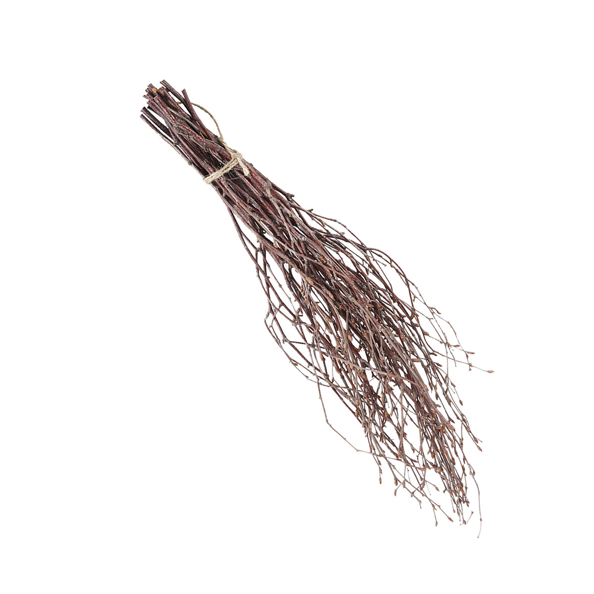 10Pcs 40Cm Premium Birch Branc - Craft Embellishments recension och pris